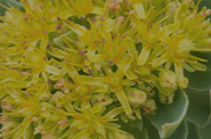 Screenshot 2025-02-16 at 23.02.00