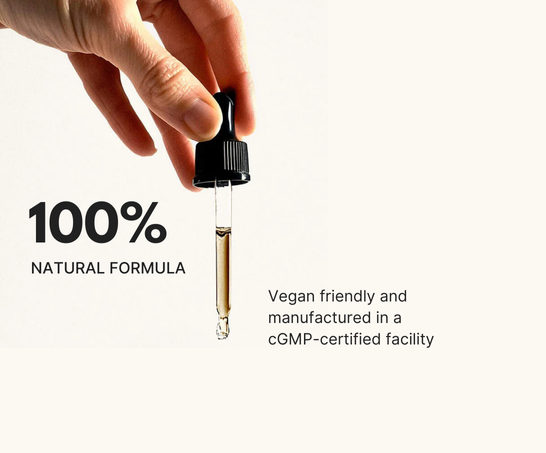 Vision Mojo Bundle - Holiday Sale