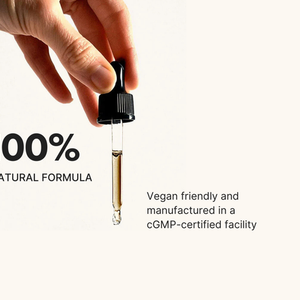 Vision Mojo Bundle - Holiday Sale