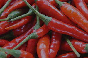 Screenshot 2025-02-16 at 23.09.18