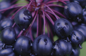 Screenshot 2025-02-16 at 23.03.46