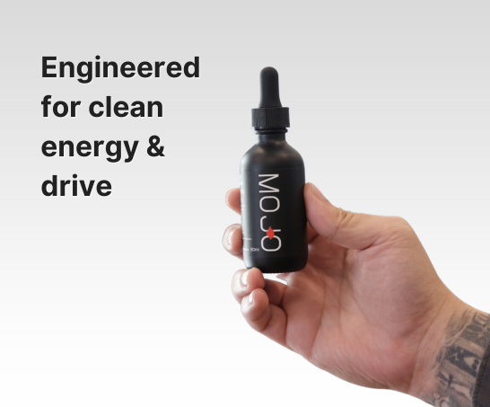 Vision Mojo Bundle - Holiday Sale