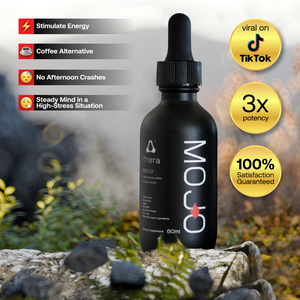 Mojo - Energy Formula