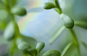 Screenshot 2025-02-16 at 23.09.18