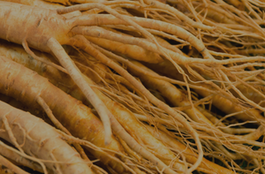 Screenshot 2025-02-16 at 23.03.46