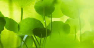 Screenshot 2025-02-16 at 23.02.00