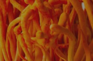 Screenshot 2025-02-16 at 22.59.08